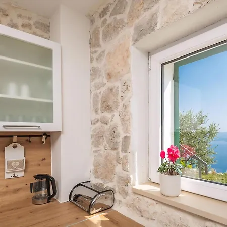 Vista Mit Privatem Pool Holiday home *